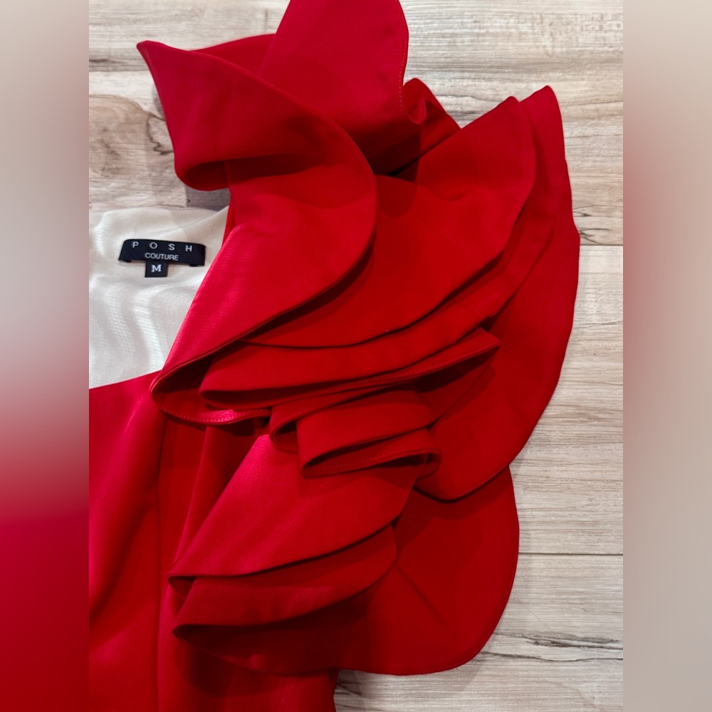 POSH COUTURE RUFFLE SLEEVE DRESS - Picture 3 of 5